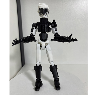 Good price Fabrikant Groothandel in 3D-geprinte producten Zwart-Wit Dummy13 online